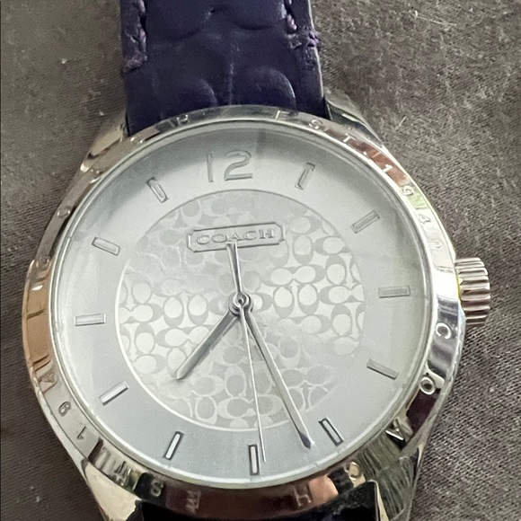 Coach Silver Dial with Navy Strap Watch - Picture 2 of 2